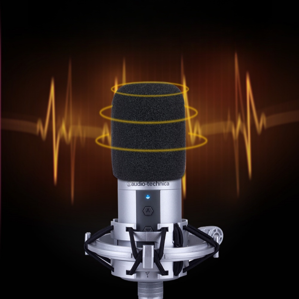 2PCS AT2020 ไมโครโฟนกระจก,ไมโค - Ribbon Microphone บทวิจารณ์และราคา
