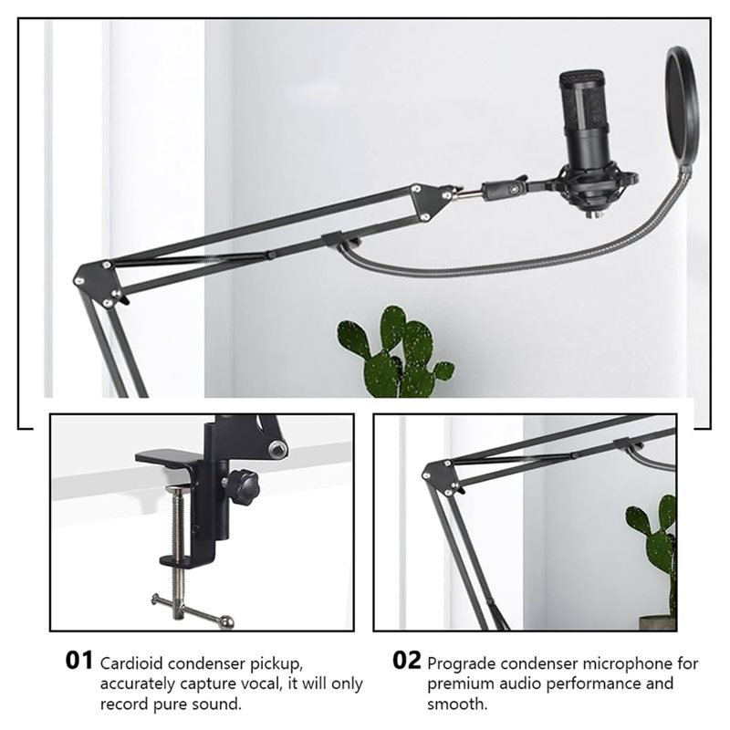 ชุดไมโครโฟนสำหรับบันทึกเสียงใน - Condenser Microphone Kit บทวิจารณ์และราคา