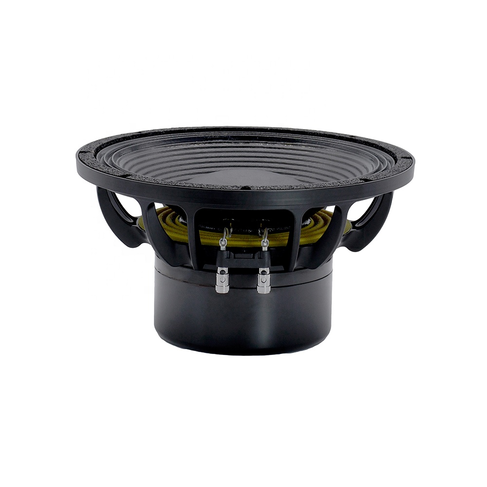 อุปกรณ์เสียงระดับมืออาชีพ 12DS - Subwoofer บทวิจารณ์และราคา