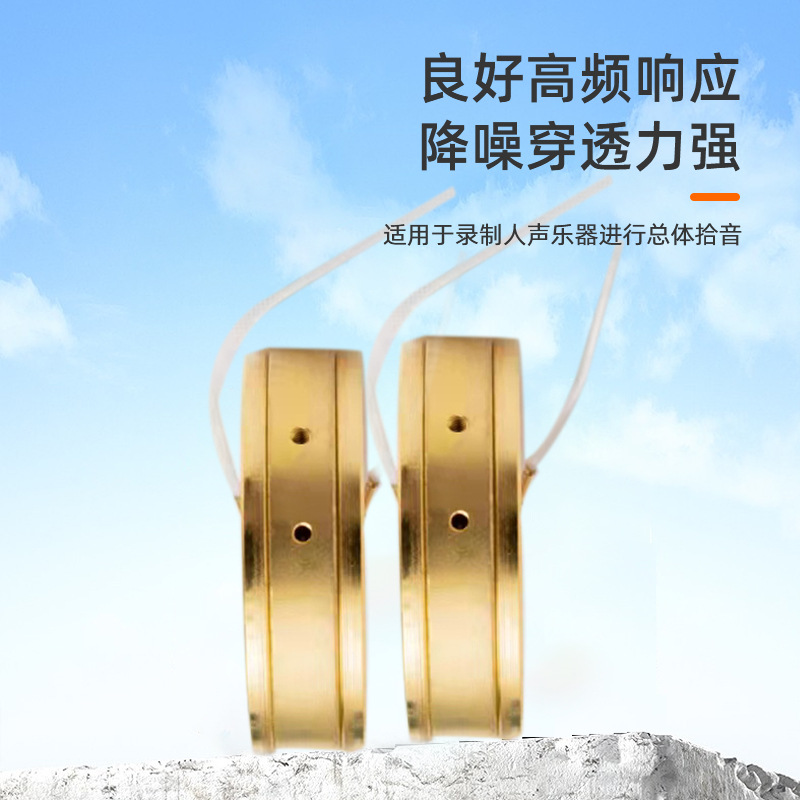 แคปซูลไมโครโฟนไดอะแฟรมขนาดใหญ่ - Microphone Capsule บทวิจารณ์และราคา